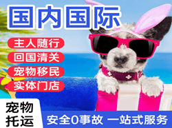 阆中古城空运公司国际宠物托运 【国