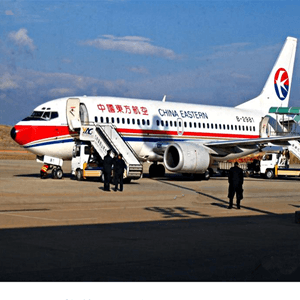 阆中古城空运公司航空快运业稳步发展的原因是什么？